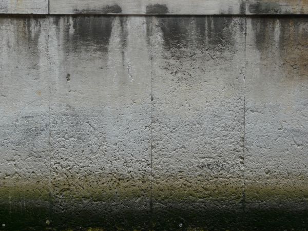 Cement wall with green algae on the bottom.